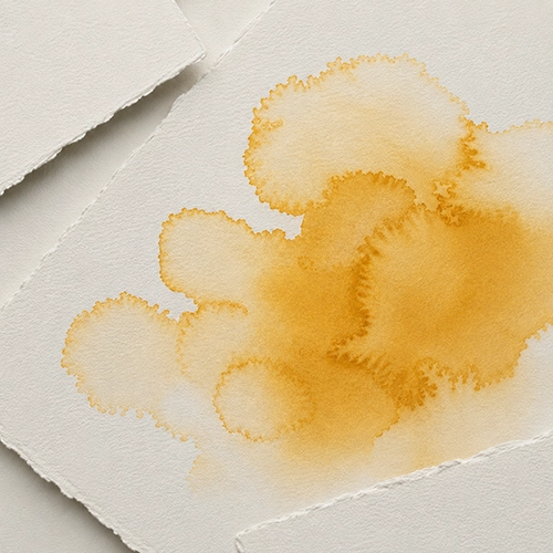 Illustration de l’article « Les auréoles : les éviter ou les apprivoiser »